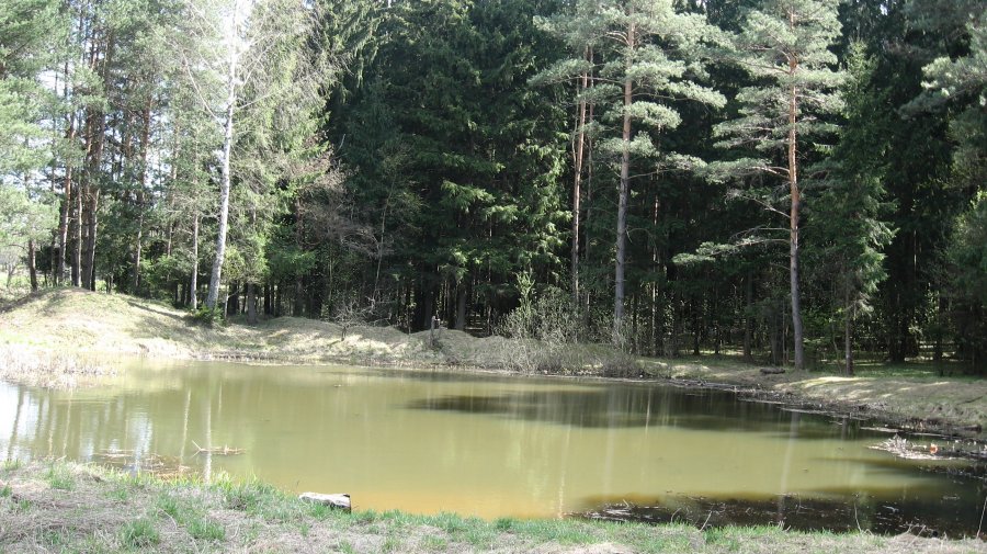 Прудик